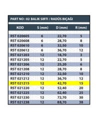 RESİSTE S:12 R15 RADÜS BIÇAĞI